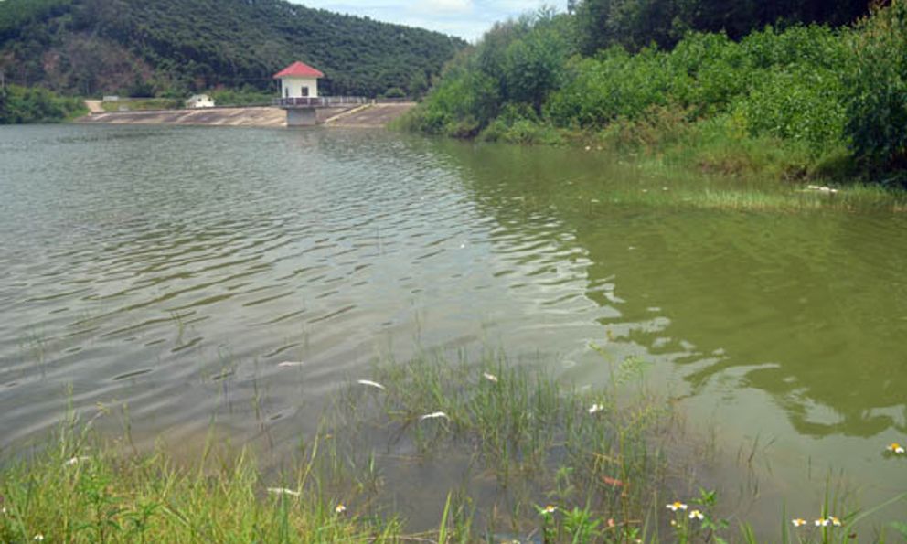 Nghệ An: Cá chết trắng, bốc mùi hôi thối ở hồ Hòn Mát