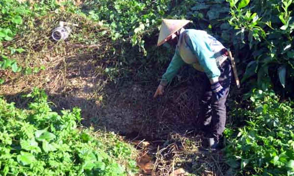 Hố nước thải trại lợn rò rỉ ra suối, xã Nghĩa Lộc đưa mẫu nước thải đi phân tích