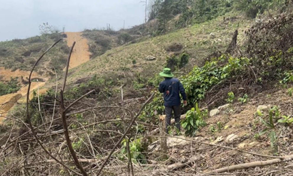 Tái khởi động dự án khai thác vàng tại 'thủ phủ đá đỏ'