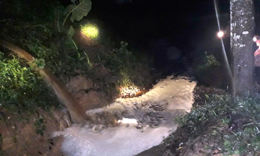 Nghệ An: Ngửi thấy mùi hôi thối, dân phát hiện trại lợn xả thải trong đêm