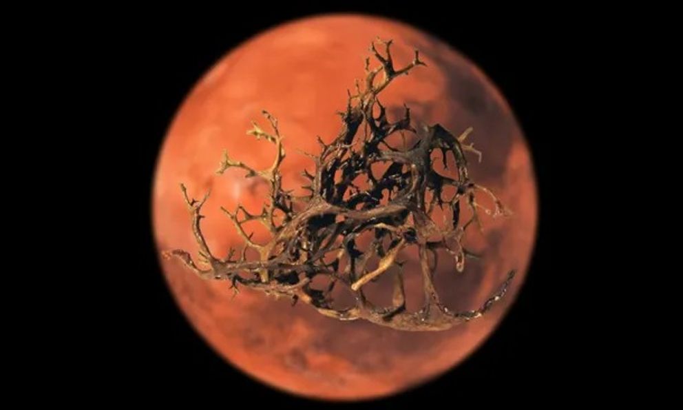 Không phải người, cũng không phải robot - đây có thể là sinh vật đầu tiên sống sót trên sao Hỏa