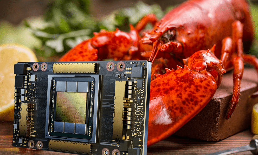 Kinh ngạc cách thức để tuồn chip AI vào Trung Quốc: Tận dụng cả tôm hùm sống để giấu GPU bên trong