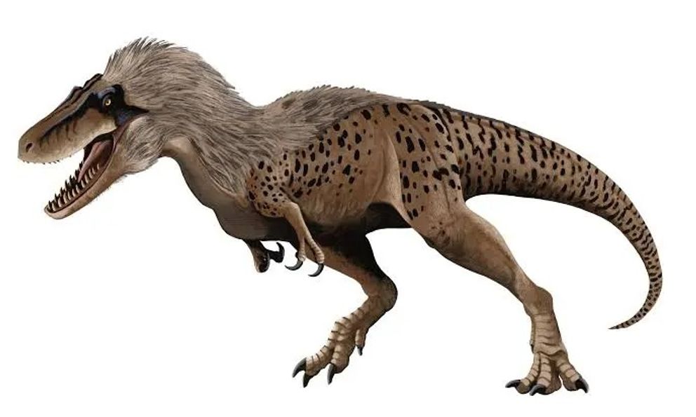 Phát hiện loài 'T-Rex mini' khiến giới khoa học phải xem lại 100 năm nghiên cứu