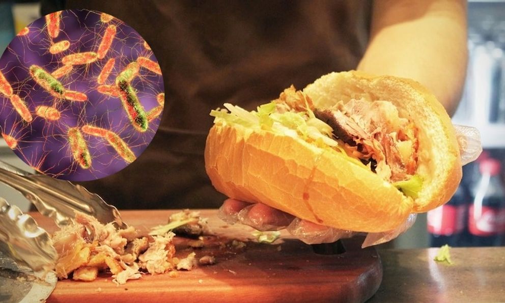 Hiểm họa mang tên Salmonella: Vi khuẩn ẩn mình trong bữa ăn hàng ngày có thể gây tử vong