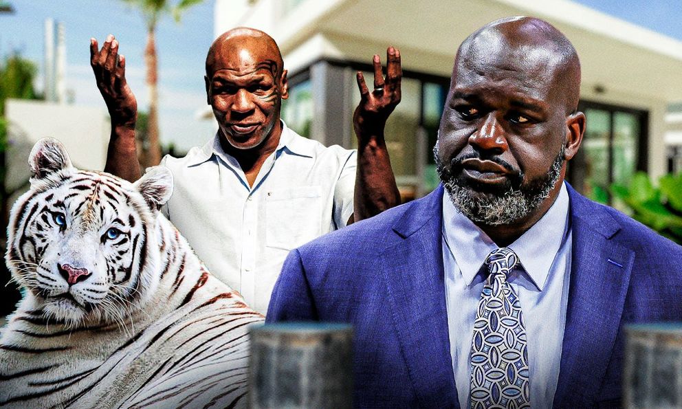 Nếu bạn có cú đấm của Mike Tyson, vóc dáng của Shaquille O'Neal và tốc độ của Usain Bolt, bạn có thể đánh bại một con hổ không?