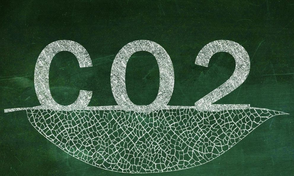 Vì sao thực vật chọn carbon dioxide làm nguyên liệu thô cho quang hợp, thay vì chọn những loại khí dồi dào hơn trong không khí?