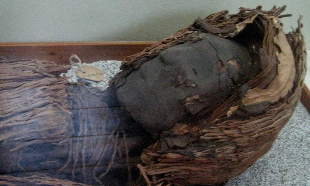 Tại sao những xác ướp tiền sử ở sa mạc Atacama lại có bộ não nhỏ bất thường?