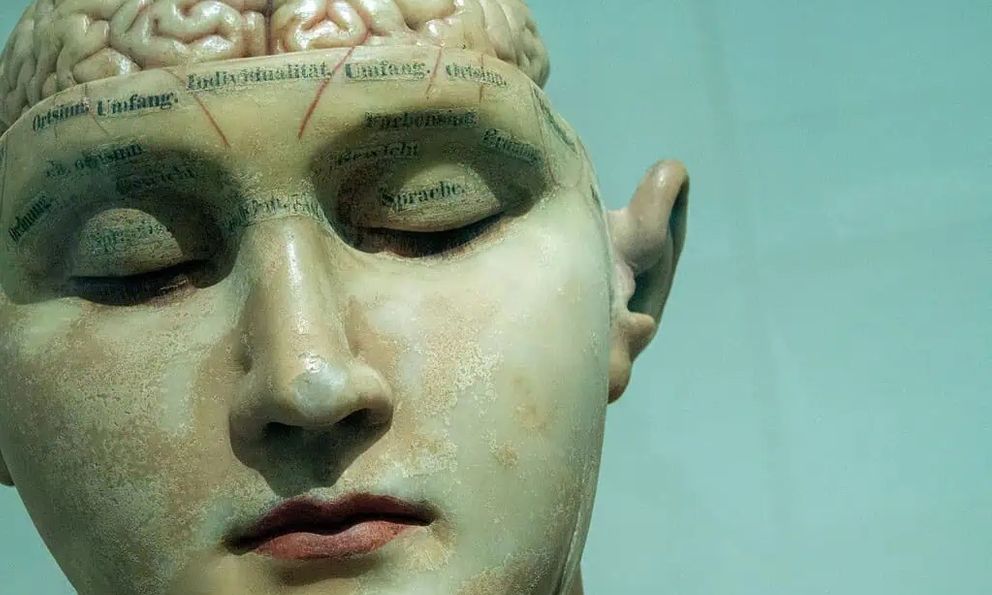 Bốn lần não bộ tự 