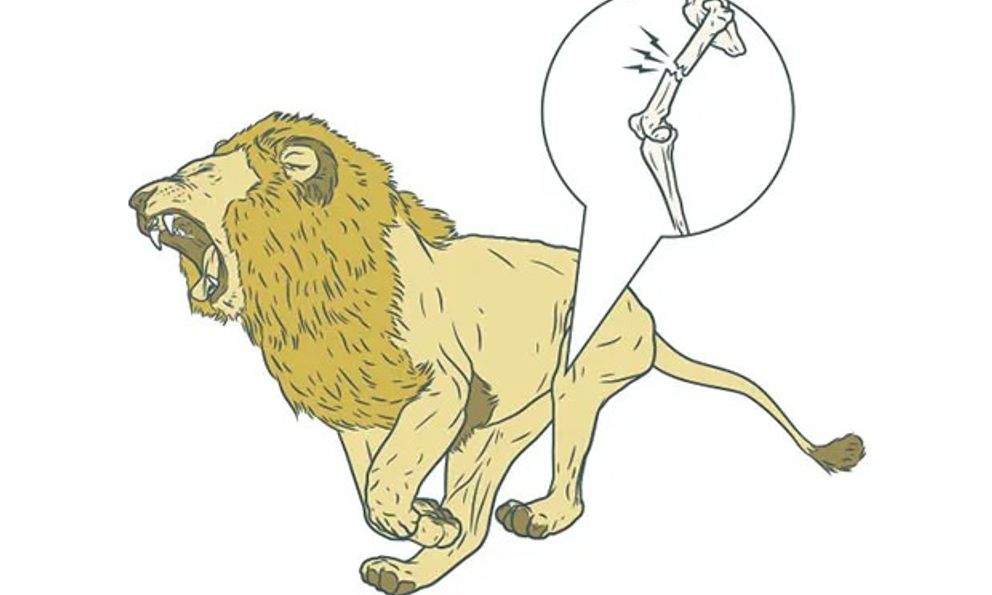 Nếu Trái Đất lớn gấp đôi: Trọng lực mới sẽ định hình lại loài người và thế giới tự nhiên ra sao?