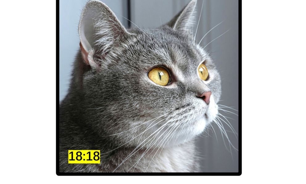 Samsung sắp ra mắt điện thoại gập màn hình vuông 1:1 để đối đầu iPhone Fold?