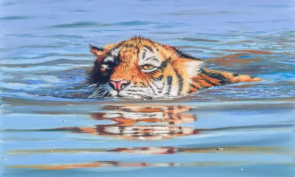 Toàn cầu chỉ còn hơn 5.000 cá thể hổ hoang dã, nhưng chúng lại là 