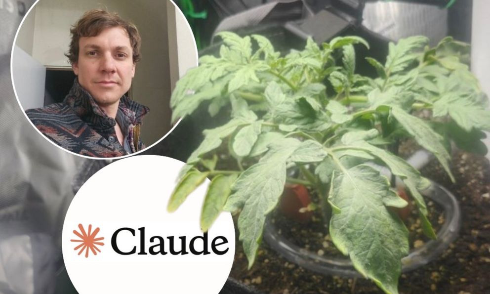 Một lập trình viên cho AI trồng cà chua: Thí nghiệm nghe vui tai nhưng không hề đùa!