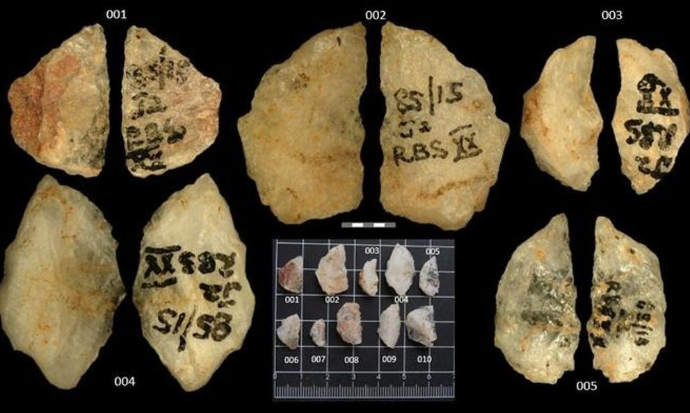 Mũi tên tẩm độc 60.000 năm tuổi hé lộ trí tuệ săn bắn vượt trội của con người thời tiền sử