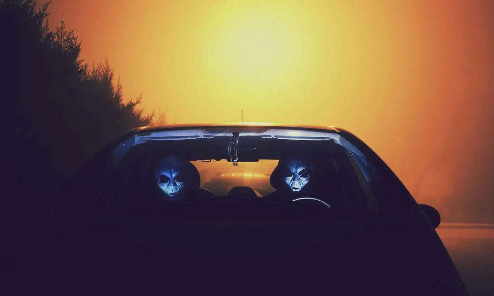 Một nghiên cứu về loài ong cho thấy con người có thể giao tiếp với người ngoài hành tinh bằng ngôn ngữ toán học