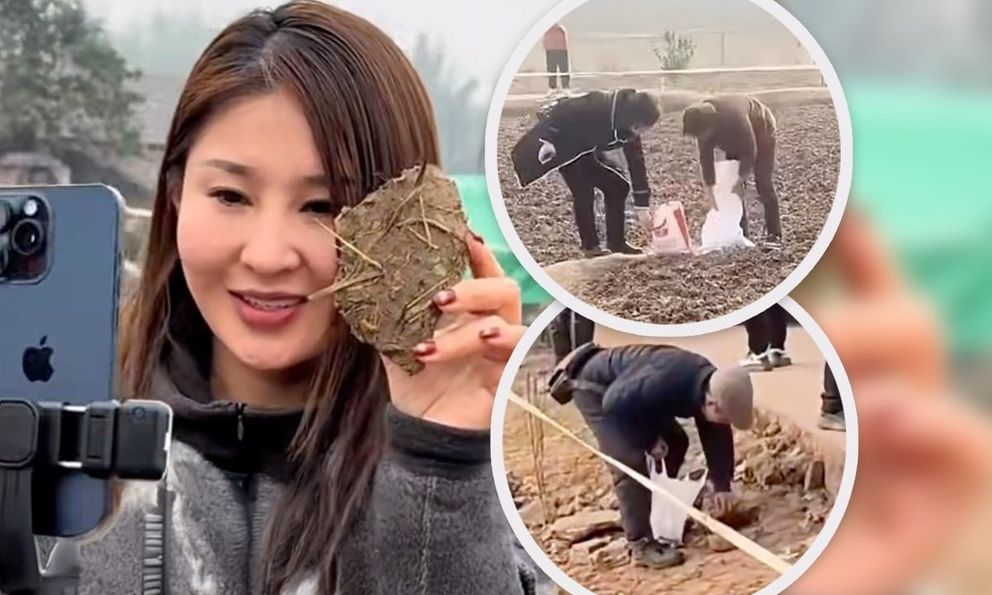 Kiếm gần 1 triệu đô nhờ mổ lợn, cô gái trẻ khiến đất quanh nhà hóa bùa hộ mệnh bán giá đắt hơn vàng