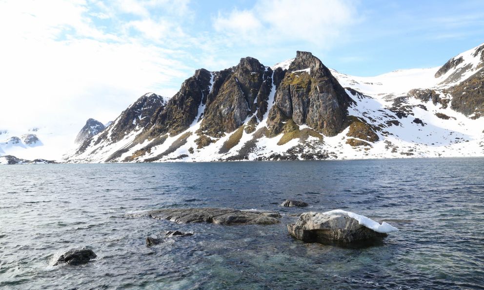 Vòng Bắc Cực chạm ngưỡng 30 độ C, 2026 sẽ là năm nóng nhất lịch sử? 