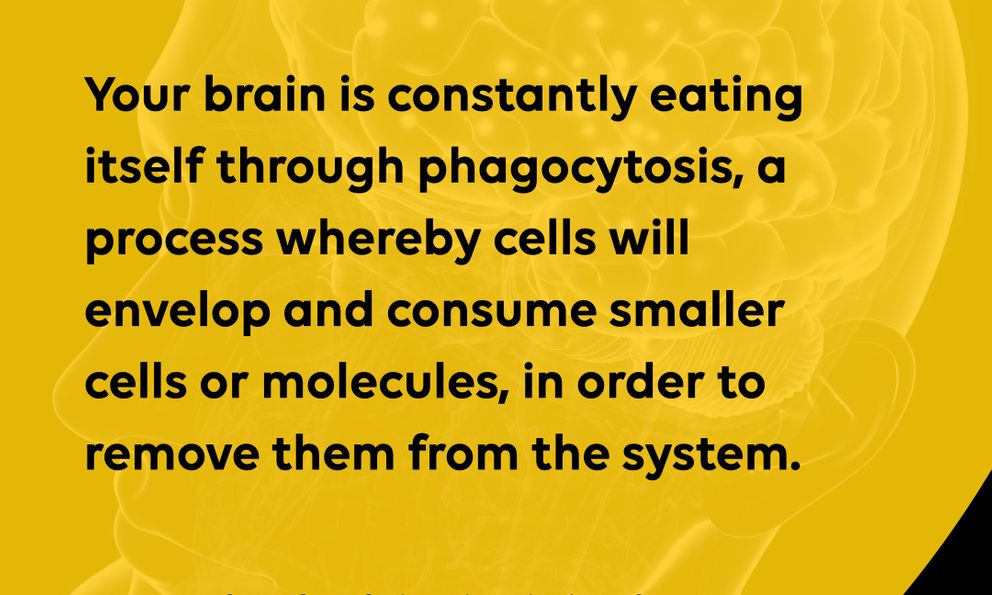 “Não của bạn đang liên tục ăn chính nó”: Fact này đúng, nhưng đúng đến đâu?