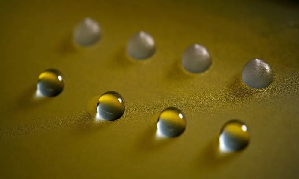 Phát hiện protein nấm có thể đóng băng nước ở nhiệt độ cao mở ra khả năng điều khiển thời tiết trong tương lai