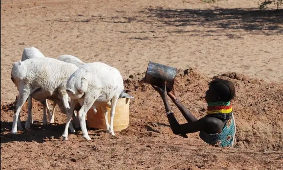 Bí mật tiến hóa giúp bộ tộc Kenya sống sót gần như không cần nước nhưng lại trở thành nguy cơ chết người hiện đại