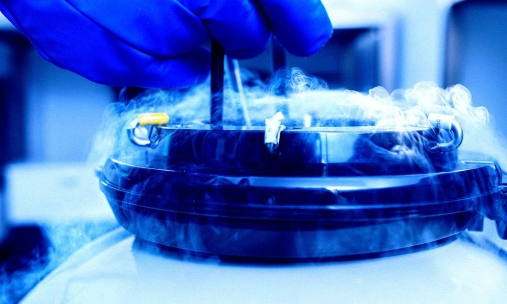 Não chết rồi vẫn “sống lại”? Thí nghiệm đóng băng sâu gây chấn động giới khoa học toàn cầu