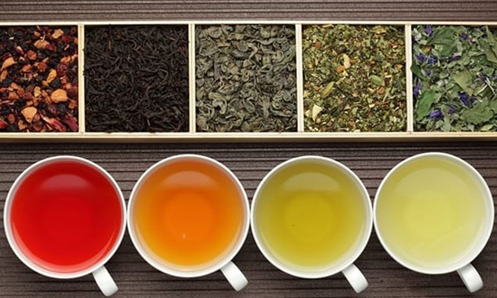 Tại sao ba loại cây trồng chính để sản xuất đồ uống trên thế giới là trà, cà phê và ca cao đều mang vị đắng?