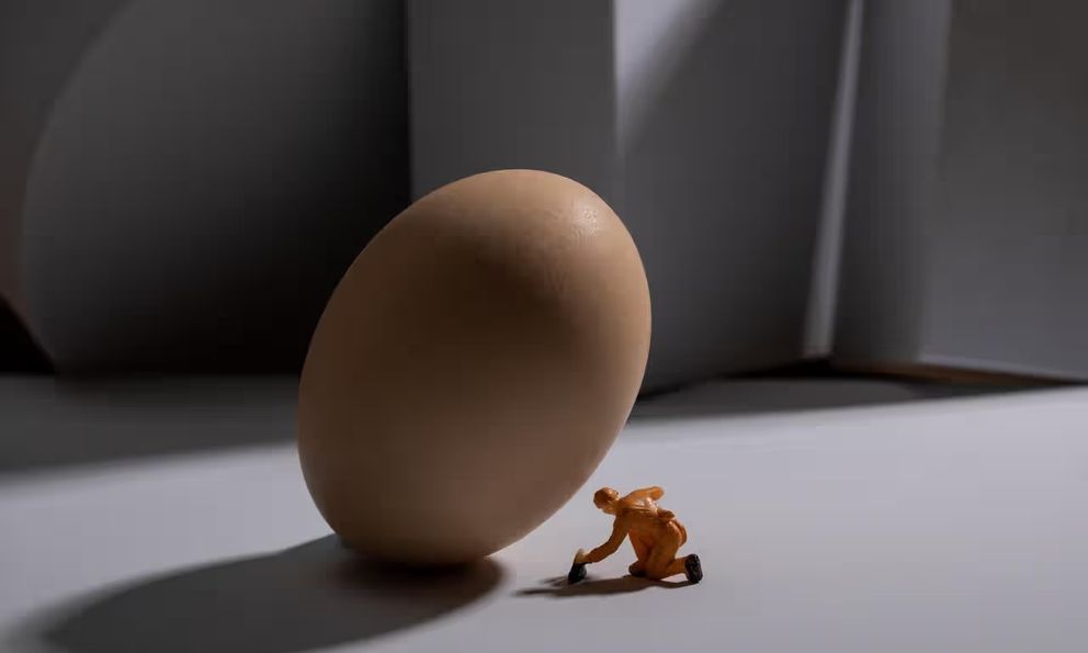 Nếu con người đẻ trứng thay vì mang thai, xã hội sẽ đảo lộn ra sao?