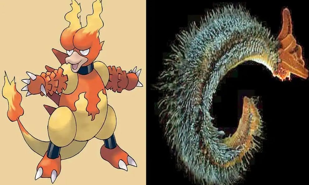 Bí ẩn về 7 loài động vật có sức mạnh tương đồng với Pokémon huyền thoại