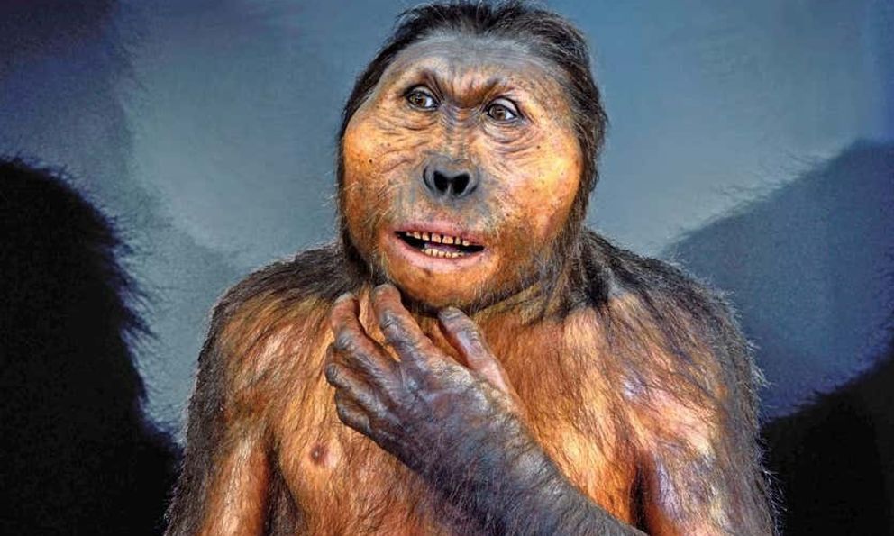 Loài Paranthropus đã cùng tồn tại với con người trong 850.000 năm, nhưng lại không để lại hậu duệ nào: Lực cắn cực mạnh chính là nguyên nhân dẫn đến sự tuyệt chủng của chúng