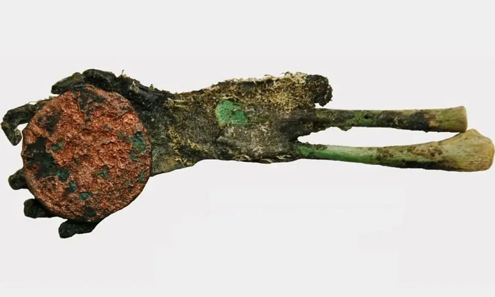 Bí ẩn khảo cổ về bàn tay xanh nắm chặt đồng xu tại nghĩa trang bỏ hoang Hungary