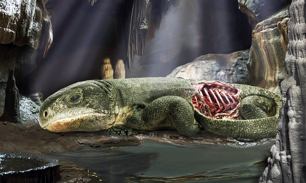 Bí ẩn trong hang tối: Xác ướp 289 triệu năm vạch trần 