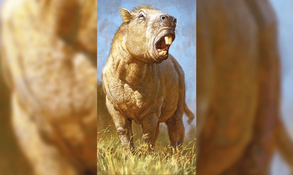 Bí ẩn loài gặm nhấm khổng lồ nhất lịch sử Trái Đất, mang khối lượng nửa tấn cùng lực cắn kinh hoàng