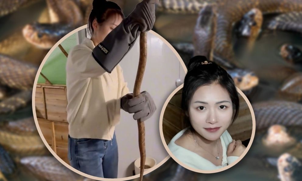 Bỏ phố về làng nuôi 60.000 rắn độc, cô gái Trung Quốc khiến mạng xã hội sửng sốt với thu nhập tiền tỷ