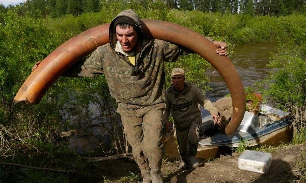 Bí ẩn rùng rợn đằng sau cơn sốt săn lùng xác voi ma mút Siberia