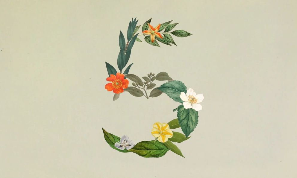 Anthropic ra mắt Claude Sonnet 5: Ngang ngửa Opus 4.8 nhưng giá chỉ bằng một nửa