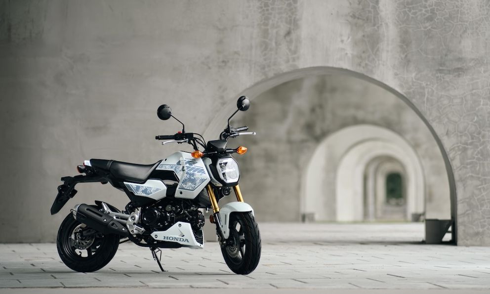 Honda MSX GROM 2027 tung bản rằn ri độc lạ khiến dân chơi xe côn tay tí hon phát sốt