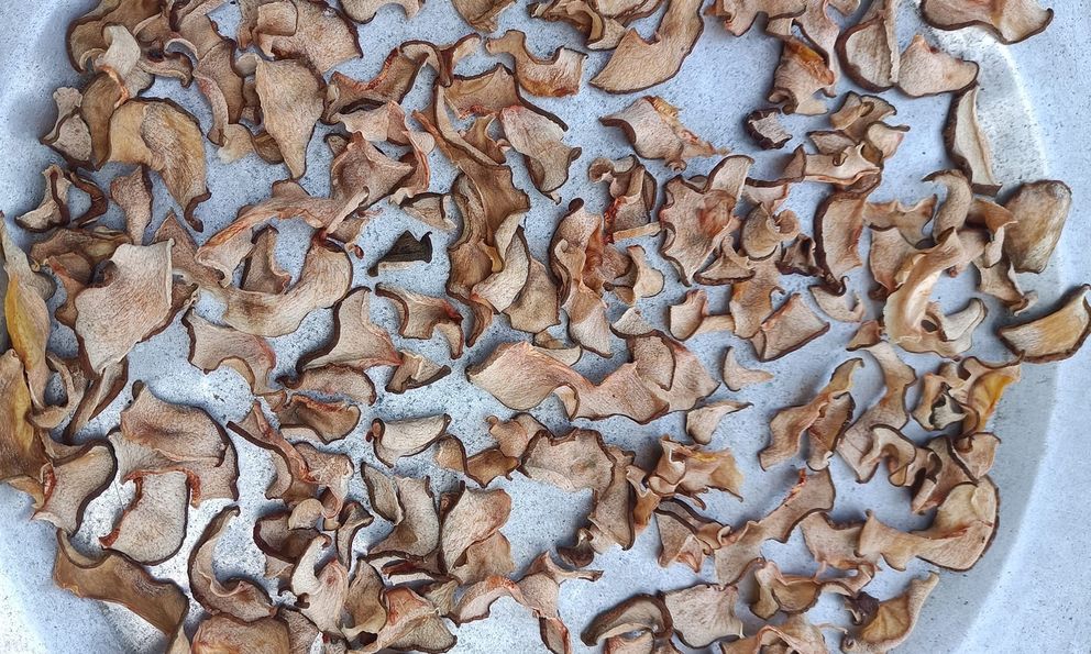 Loại quả dại trước kia cho không ai lấy, nay được săn đón “cháy hàng”: Có nhiều tác dụng