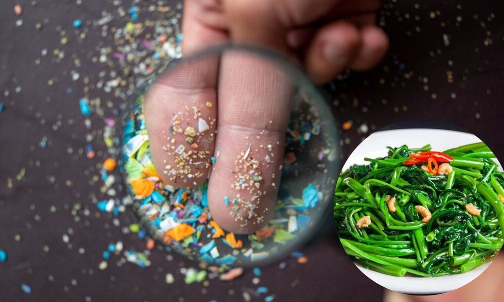 Vi nhựa len lỏi vào nhiều loại rau người Việt hay ăn bằng những cách không ngờ tới