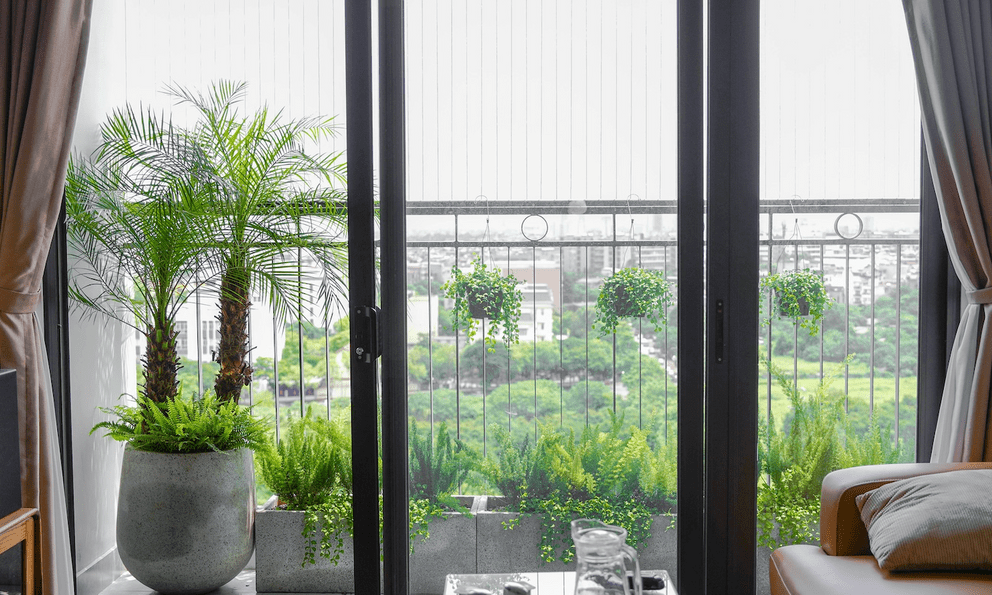 NASA khuyên hãy trồng cây này trong nhà: Giúp loại bỏ chất độc mà WHO cảnh báo gây ung thư hàng đầu