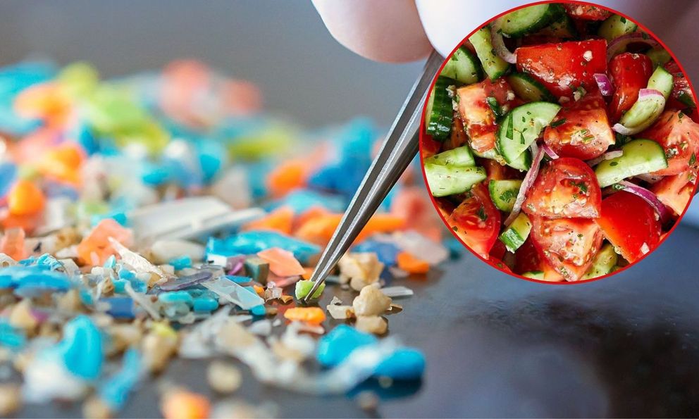 Một loại quả quen thuộc trên mâm cơm Việt, nay là ‘ổ chứa’ vi nhựa nhiều bậc nhất