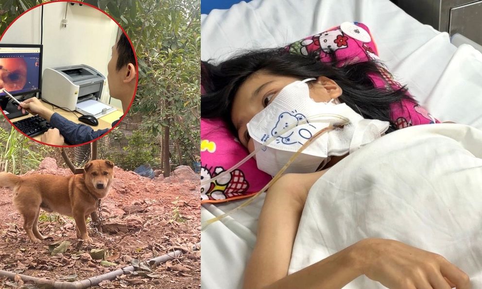 Đang ăn cơm, bố mẹ sốc khi thấy cổ con gái thủng lỗ, tức tốc đưa đi cấp cứu