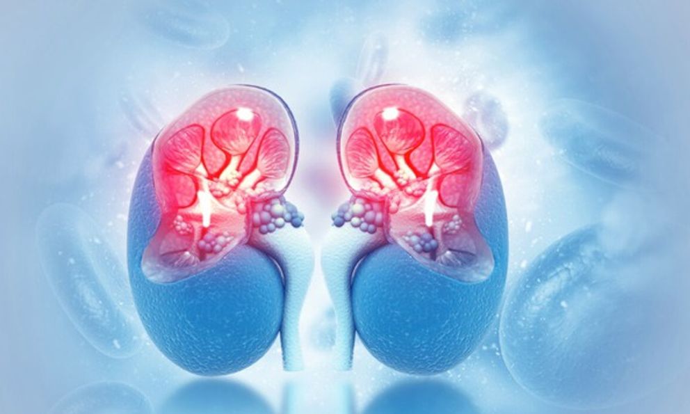 Bác sĩ Bệnh viện Bạch Mai cảnh báo 1 sai lầm gặp ở nhiều người Việt khiến thận tổn thương nặng nề