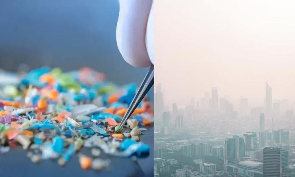 Có nước phạt tới 50 USD nếu mang túi nhựa dùng một lần, người Việt vẫn 