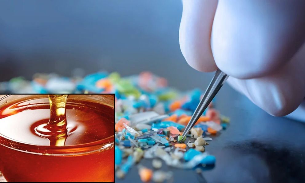 Bất ngờ vi nhựa có ngay trong thứ ngọt ngào được ví như “vàng lỏng”: 2 lưu ý để giảm nguy cơ