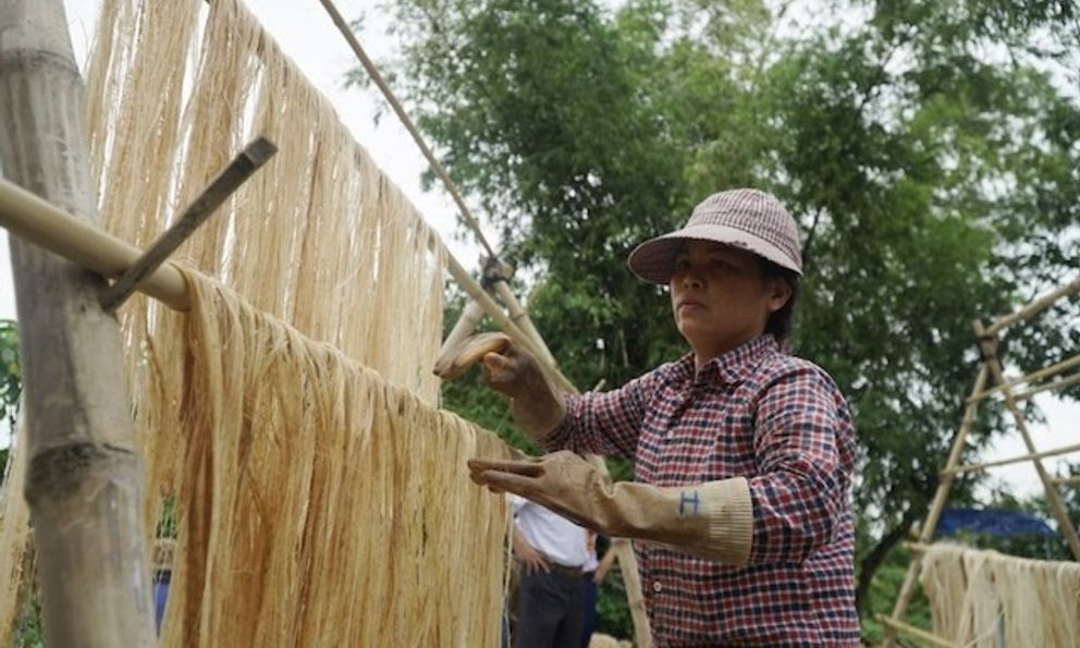 Thân cây bị bỏ đi biến thành 