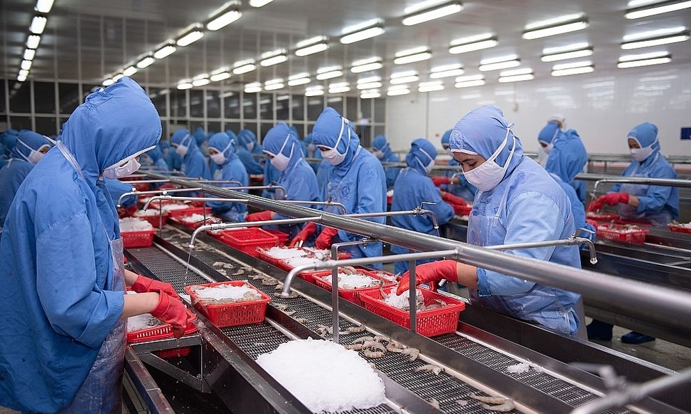 Mỹ áp thuế cao, mặt hàng tỷ đô của Việt Nam gặp thách thức: Bí quyết vàng giữ vị thế trên bàn ăn thế giới