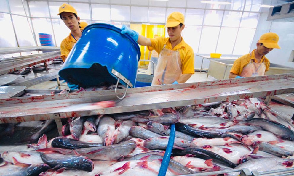 Báu vật dưới nước của Việt Nam: Cán mốc hơn tỷ đô; một doanh nghiệp Việt cung ứng 300.000 tấn/năm