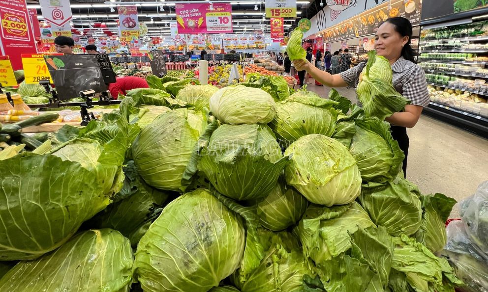 Giá rau tăng cao khiến nhiều người lo ngại: Phó giáo sư dinh dưỡng tiết lộ giải pháp bất ngờ