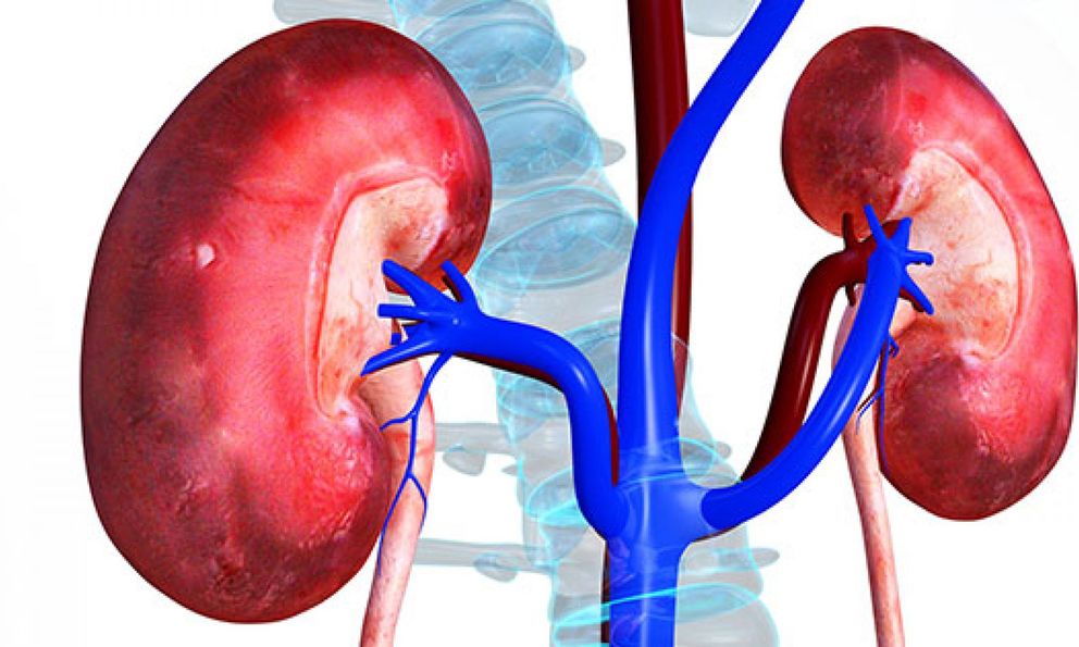 Bác sĩ tiết niệu cảnh báo: Nhiều quả thận bị hỏng “oan uổng” chỉ vì những sai lầm rất phổ biến