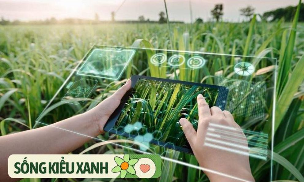 Từ CSR đến ESG: Doanh nghiệp phải 