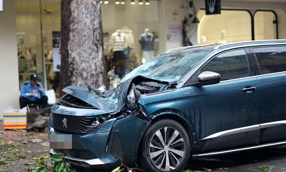 TP.HCM: Mưa lớn kèm dông lốc bất ngờ ập đến trưa 20/7, nhiều cây xanh gãy đổ đè bẹp dúm ô tô